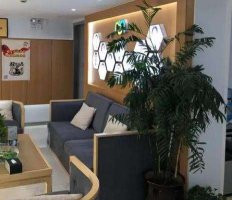 云南腹壁成形整形美容醫(yī)院排行榜前五公布~在技術(shù)審美上都是當(dāng)?shù)豑OP級！